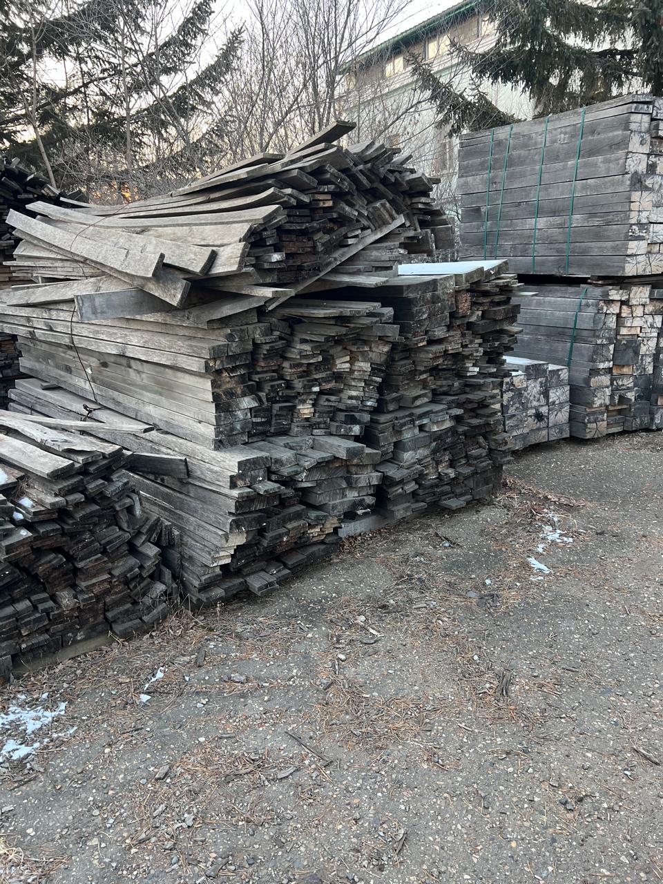 PHOTO 2025 07 31 09 46 49