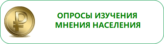 Опрос граждан о бюджетном процессе